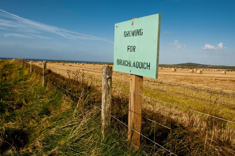 A sign noting that the barley field is being grown for Bruichladdich on an Islay farm.
